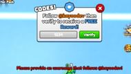 Bike Training invalid code issue (Image via Roblox)